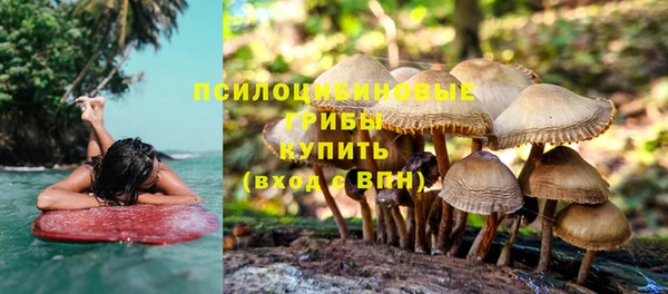 прущая мука Ладушкин