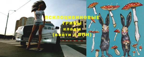 mdpv Лабытнанги