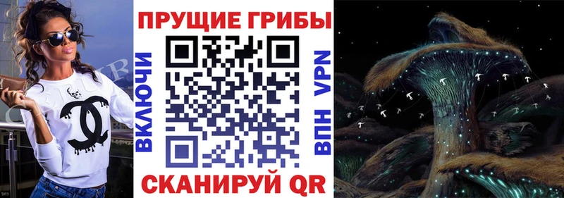 Купить где  Сергач  Псилоцибиновые грибы мухоморы 